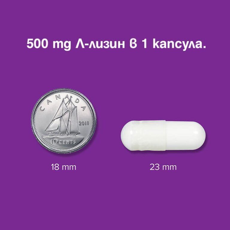 L-Lysine 500 mg - Л-лизин – Имунна система, 60 капсули - Image 3